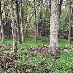 Photo #22 of 1105 Stewarts Road, Lanexa, Virginia 47.0 acres