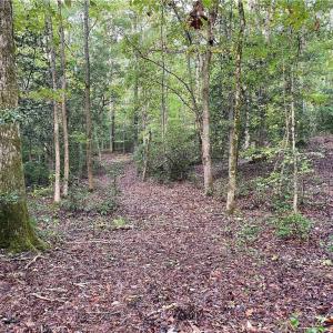 Photo #23 of 1105 Stewarts Road, Lanexa, Virginia 47.0 acres