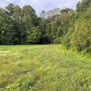 Photo #24 of 1105 Stewarts Road, Lanexa, Virginia 47.0 acres