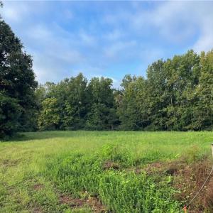 Photo #26 of 1105 Stewarts Road, Lanexa, Virginia 47.0 acres