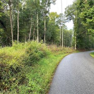Photo #27 of 1105 Stewarts Road, Lanexa, Virginia 47.0 acres
