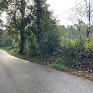 Photo #28 of 1105 Stewarts Road, Lanexa, Virginia 47.0 acres