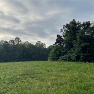 Photo #6 of 1105 Stewarts Road, Lanexa, Virginia 47.0 acres