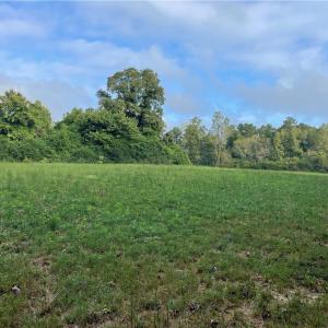 Photo #7 of 1105 Stewarts Road, Lanexa, Virginia 47.0 acres