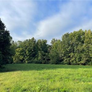 Photo #8 of 1105 Stewarts Road, Lanexa, Virginia 47.0 acres