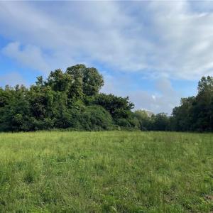Photo #9 of 1105 Stewarts Road, Lanexa, Virginia 47.0 acres