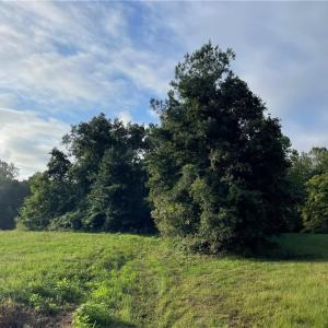Photo #10 of 1105 Stewarts Road, Lanexa, Virginia 47.0 acres