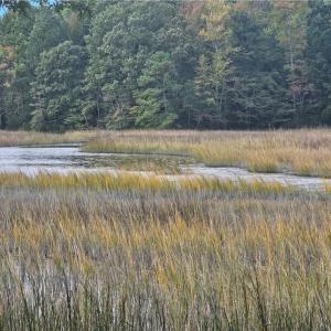 Photo #1 of Lot 9 Harbour Ridge, Smithfield, Virginia 2.2 acres