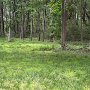 Photo #8 of 164 Summer Lane, Shacklefords, Virginia