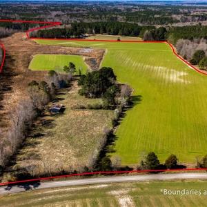 Photo #12 of 10445 Southampton Parkway, Drewryville, Virginia 165.1 acres