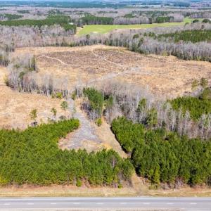 Photo #14 of 10445 Southampton Parkway, Drewryville, Virginia 165.1 acres