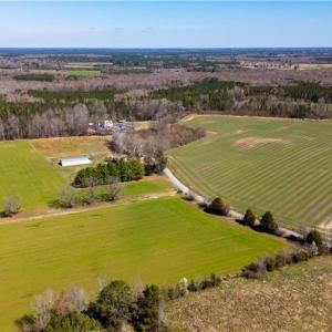 Photo #15 of 10445 Southampton Parkway, Drewryville, Virginia 165.1 acres