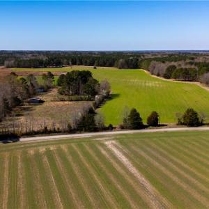 Photo #16 of 10445 Southampton Parkway, Drewryville, Virginia 165.1 acres