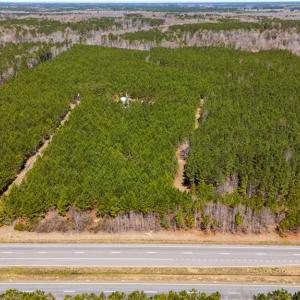 Photo #17 of 10445 Southampton Parkway, Drewryville, Virginia 165.1 acres