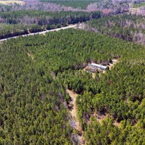Photo #20 of 10445 Southampton Parkway, Drewryville, Virginia 165.1 acres