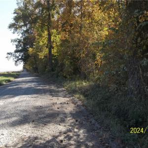 Photo #21 of 10445 Southampton Parkway, Drewryville, Virginia 165.1 acres