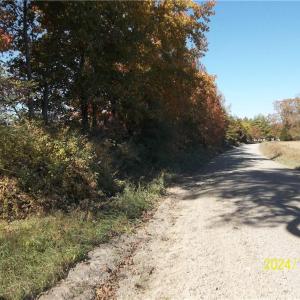Photo #23 of 10445 Southampton Parkway, Drewryville, Virginia 165.1 acres