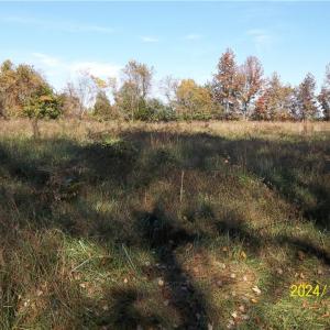 Photo #25 of 10445 Southampton Parkway, Drewryville, Virginia 165.1 acres