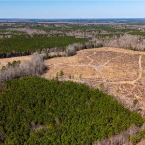 Photo #26 of 10445 Southampton Parkway, Drewryville, Virginia 165.1 acres