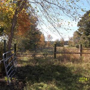 Photo #29 of 10445 Southampton Parkway, Drewryville, Virginia 165.1 acres