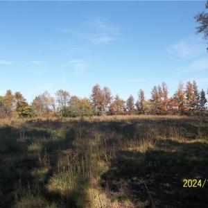 Photo #30 of 10445 Southampton Parkway, Drewryville, Virginia 165.1 acres