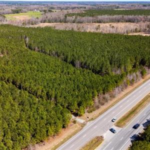 Photo #4 of 10445 Southampton Parkway, Drewryville, Virginia 165.1 acres