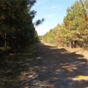 Photo #31 of 10445 Southampton Parkway, Drewryville, Virginia 165.1 acres