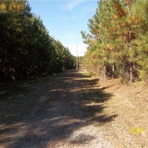 Photo #32 of 10445 Southampton Parkway, Drewryville, Virginia 165.1 acres