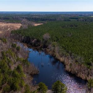 Photo #6 of 10445 Southampton Parkway, Drewryville, Virginia 165.1 acres