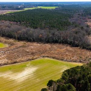 Photo #7 of 10445 Southampton Parkway, Drewryville, Virginia 165.1 acres
