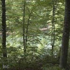 Photo #1 of 8+ Brookhaven Court, Chesapeake, Virginia 8.0 acres