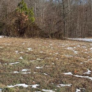 Photo #2 of 115 Rama, Reidsville, NC 1.8 acres