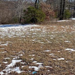 Photo #3 of 115 Rama, Reidsville, NC 1.8 acres