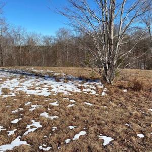 Photo #4 of 8759 NC Highway 87, Reidsville, NC 1.4 acres