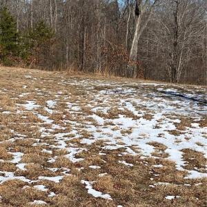 Photo #5 of 8759 NC Highway 87, Reidsville, NC 1.4 acres