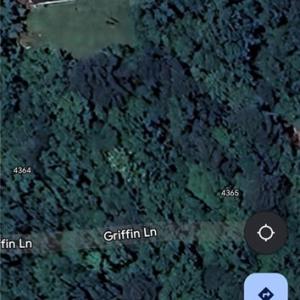 Photo #4 of 0.39Ac Griffin Lane, Suffolk, Virginia 0.4 acres
