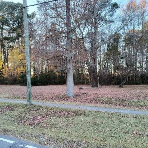 Photo #3 of 524 Fernwood Farms Road, Chesapeake, Virginia 1.8 acres