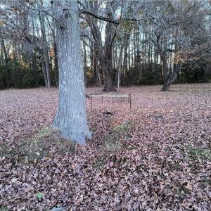 Photo #6 of 524 Fernwood Farms Road, Chesapeake, Virginia 1.8 acres