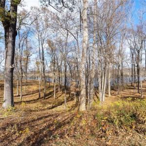 Photo #10 of 3.43AC Boxwood Shores Drive, Boydton, Virginia