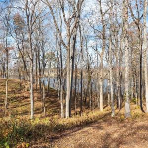 Photo #6 of Lot 4R Boxwood Shores Drive, Boydton, Virginia