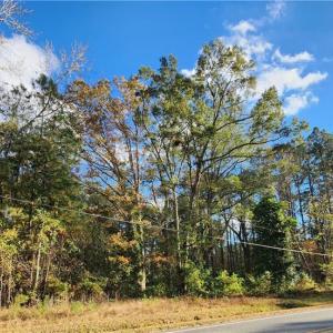 Photo #3 of 1833 Shillelagh Road, Chesapeake, Virginia 6.8 acres