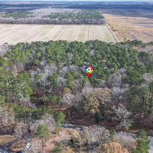 Photo #6 of 1833 Shillelagh Road, Chesapeake, Virginia 6.8 acres