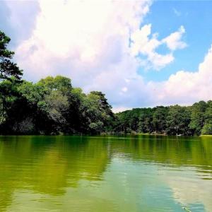 Photo #2 of 2.38ac Chesapeake Drive, Exmore, Virginia 2.4 acres
