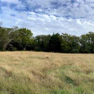 Photo #7 of 2.38ac Chesapeake Drive, Exmore, Virginia 2.4 acres