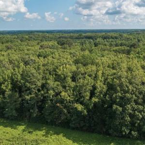 Photo #12 of LOT 1 Princess Anne Road, Virginia Beach, Virginia 0.9 acres