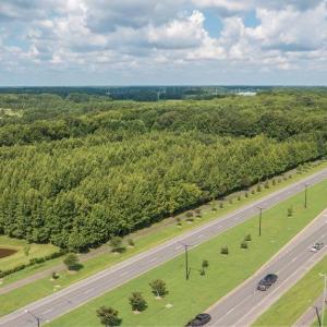 Photo #21 of LOT 1 Princess Anne Road, Virginia Beach, Virginia 0.9 acres