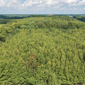 Photo #22 of LOT 1 Princess Anne Road, Virginia Beach, Virginia 0.9 acres