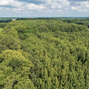 Photo #9 of LOT 1 Princess Anne Road, Virginia Beach, Virginia 0.9 acres