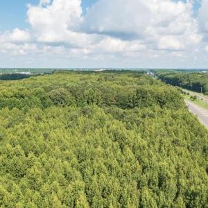 Photo #11 of LOT 3 Princess Anne Road, Virginia Beach, Virginia 0.7 acres