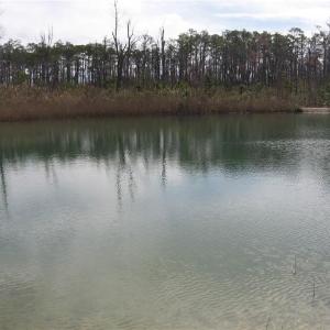Photo #20 of 4161 Caratoke Highway, Barco, North Carolina 92.4 acres